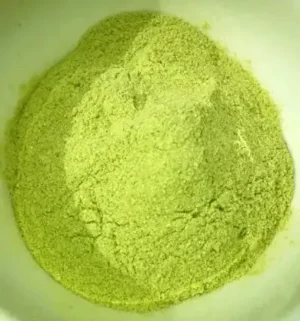 San Pedro Cactus Powder Echinopsis Pachanoi – fine bright lime-green powder in white bowl