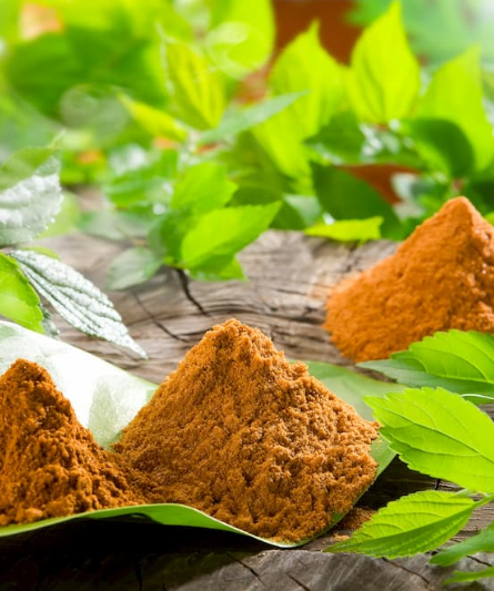 Premium ethnobotanical botanical root bark powder with fresh green leaves on natural wood surface