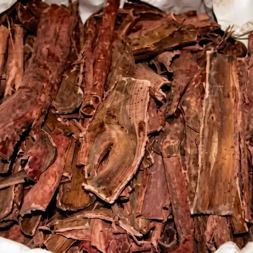 Close-up of ethically sourced whole Mimosa Hostilis root bark pieces showing natural reddish-brown woody texture and layered fibrous structure
