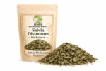 10x Extract Salvia Divinorum concentrated green botanical specimen Salvia divinorum